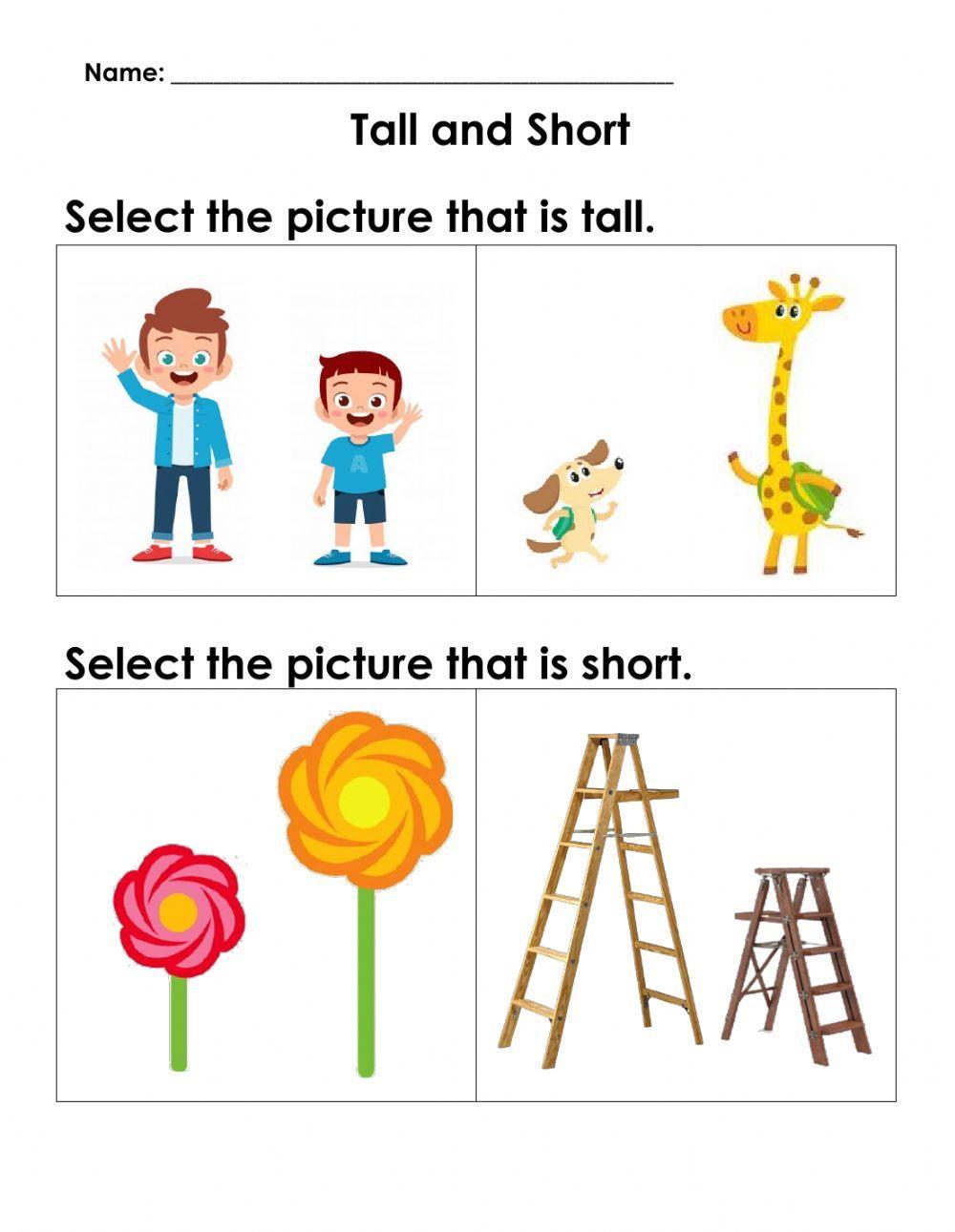 Maths Concepts: Tall and Short worksheet | Live Worksheets - Worksheets ...