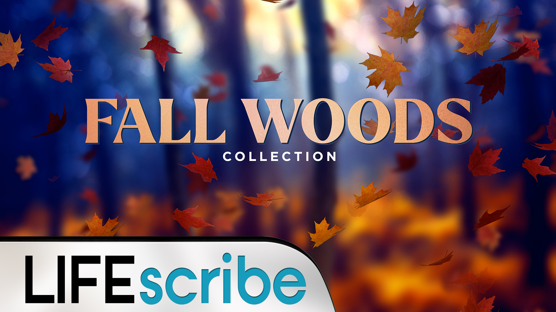 FALL WOODS COLLECTION