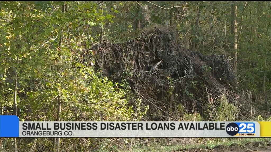 Small Business Disaster Loans Available For Midlands' Counties