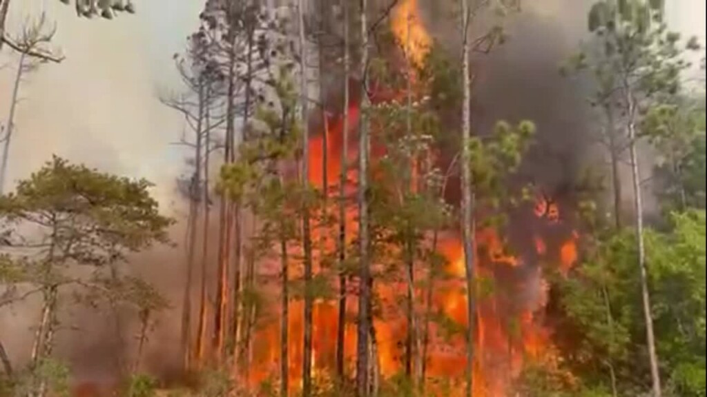 Crews Working Large Woods Fire In Ocean Springs