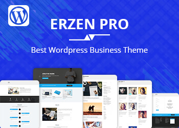 erzen pro wordpress theme