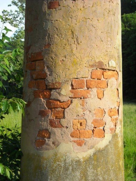 Column at Blue Sulphur Springs