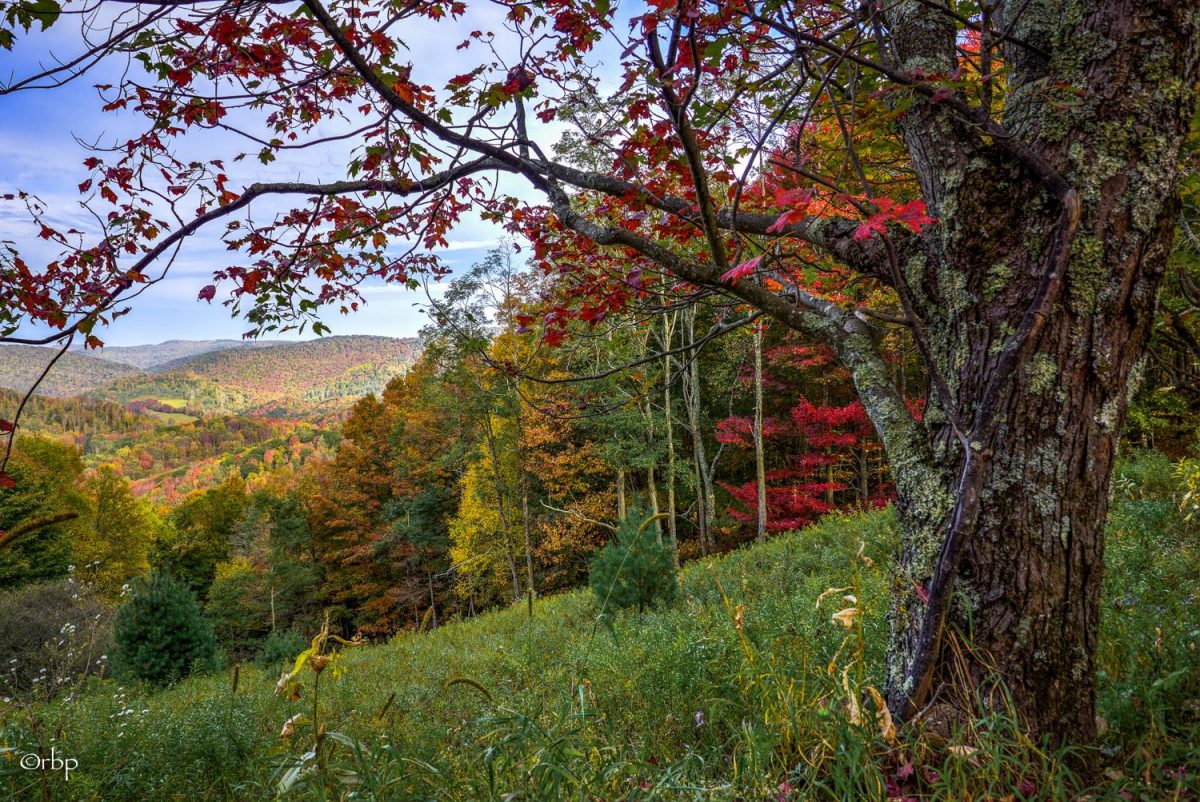 Autumn color peaks along on Sully Road in rural Randolph County. Photo courtesy Rick Burgess