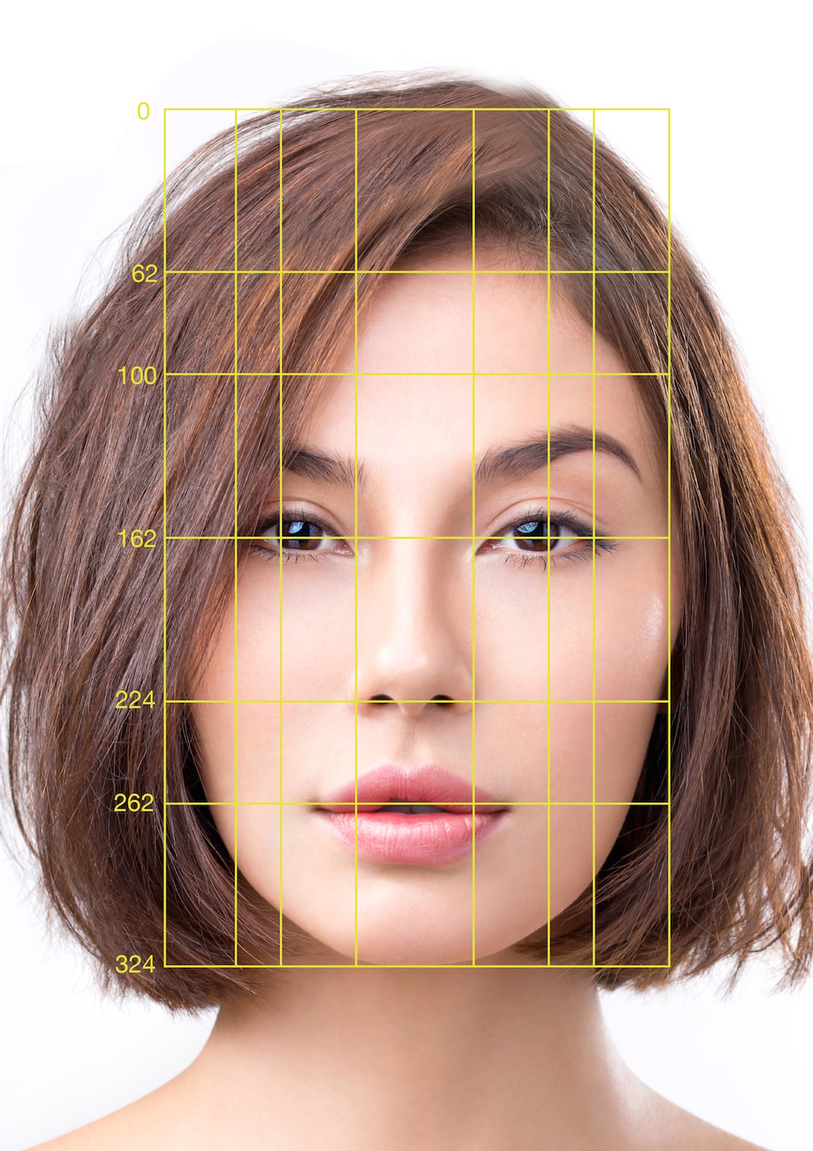 Golden Ratio Face