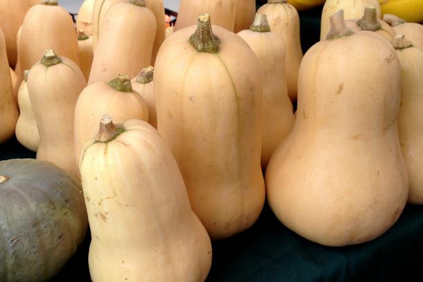 Butternut squash