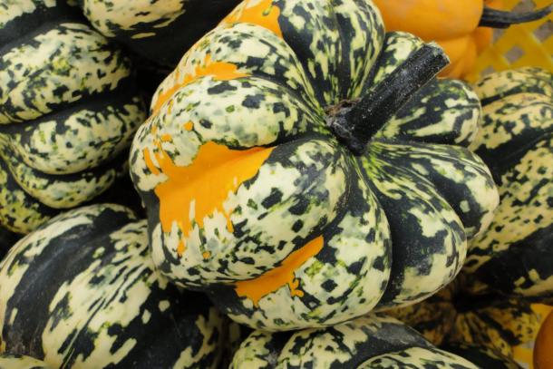 Sweet dumpling squash