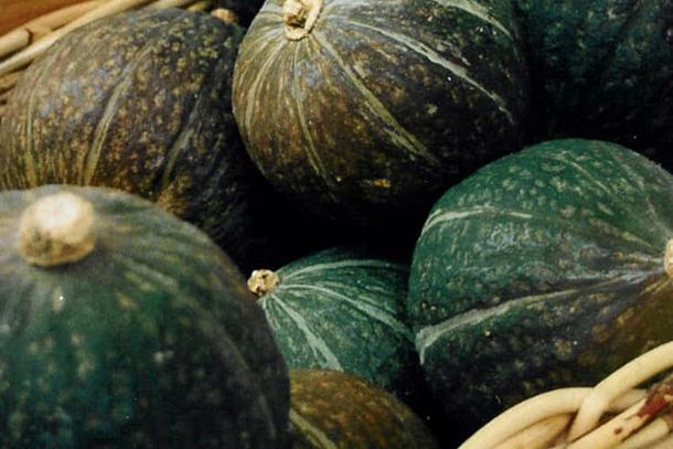 Kabocha squash