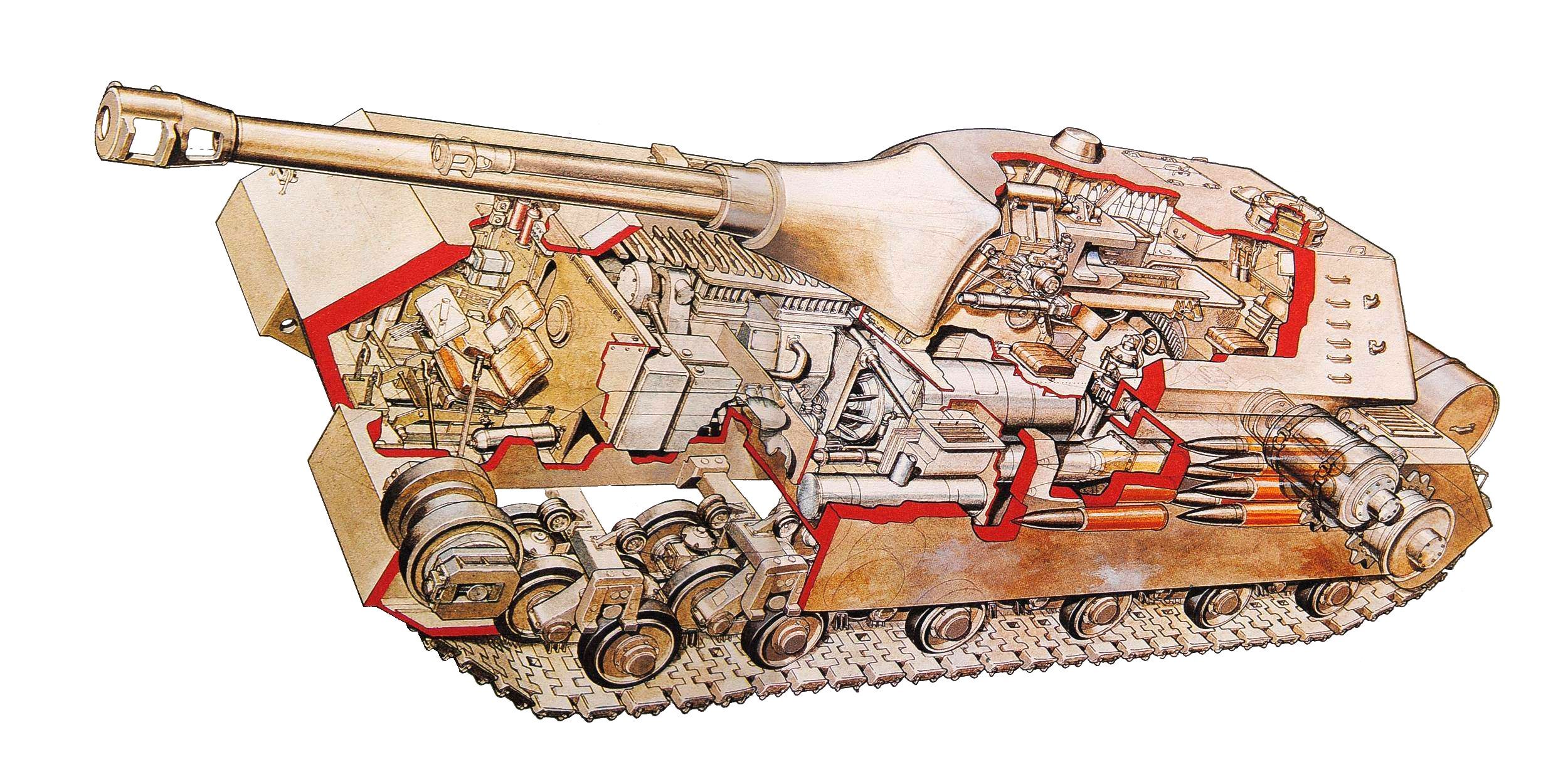 maus_cutaway