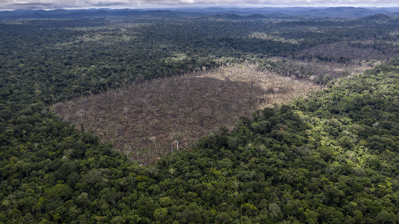 Deforestation Fronts Wwf