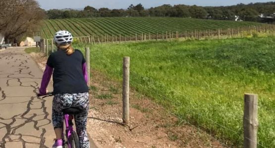 Barossa and Clare Valley Cycling Tour