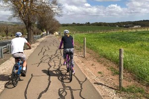 Barossa and Clare Valley Cycling Tour