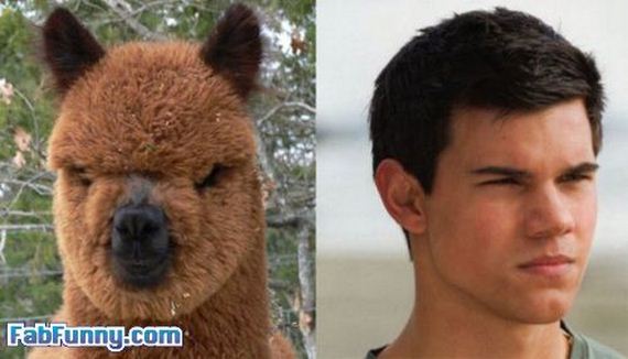 Celebrity-Look-Alikes