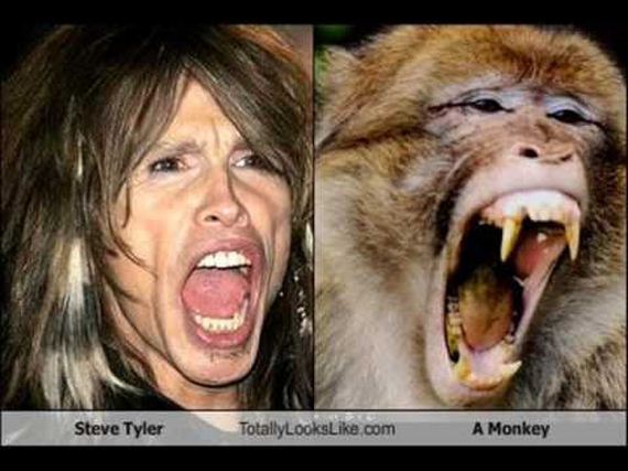 Celebrity-Look-Alikes