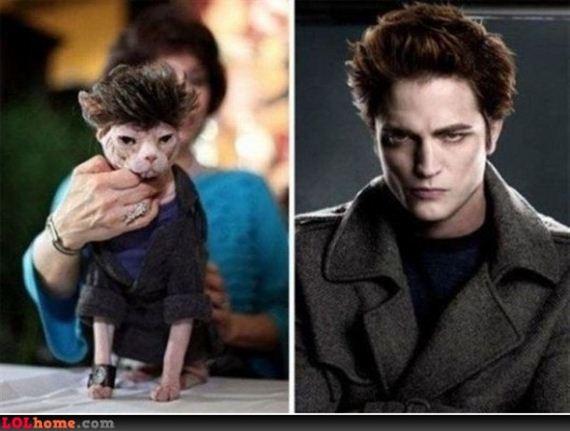 Celebrity-Look-Alikes