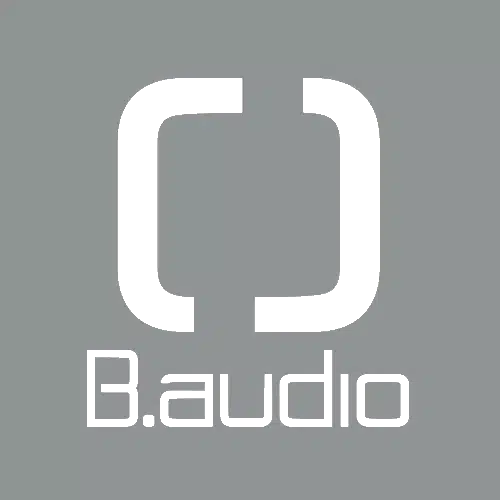 B.Audio