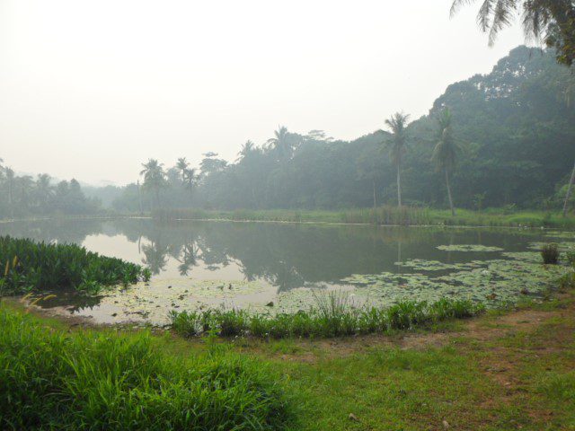 Old Quarry of Pulau Ubin