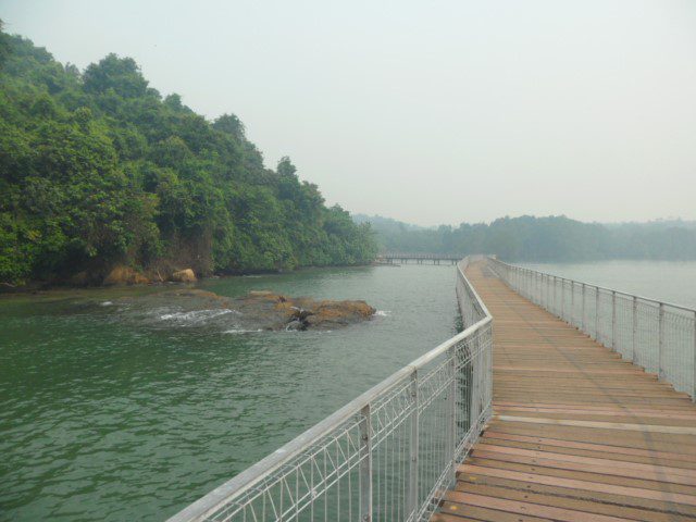 Pulau Ubin Board Walk