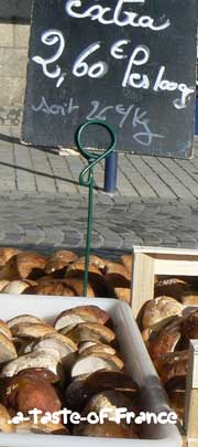 Concarneau market mushrooms 