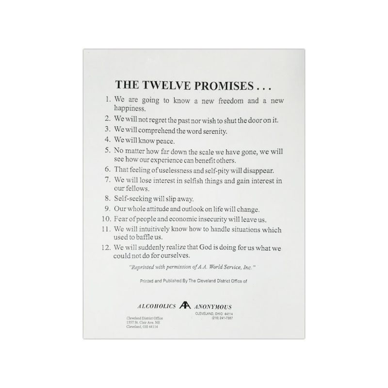 12 Promises (8.5 x 11) Laminated