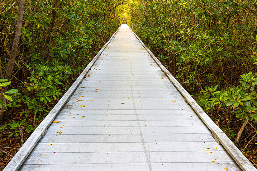 Cape Coral Rotary Park