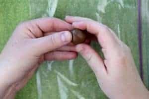 Using hands to shape a tootsie roll into a ball