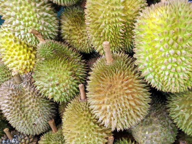  Les Durians sont réputés pour leur odeur nauséabonde, mais étonnamment bons à manger.