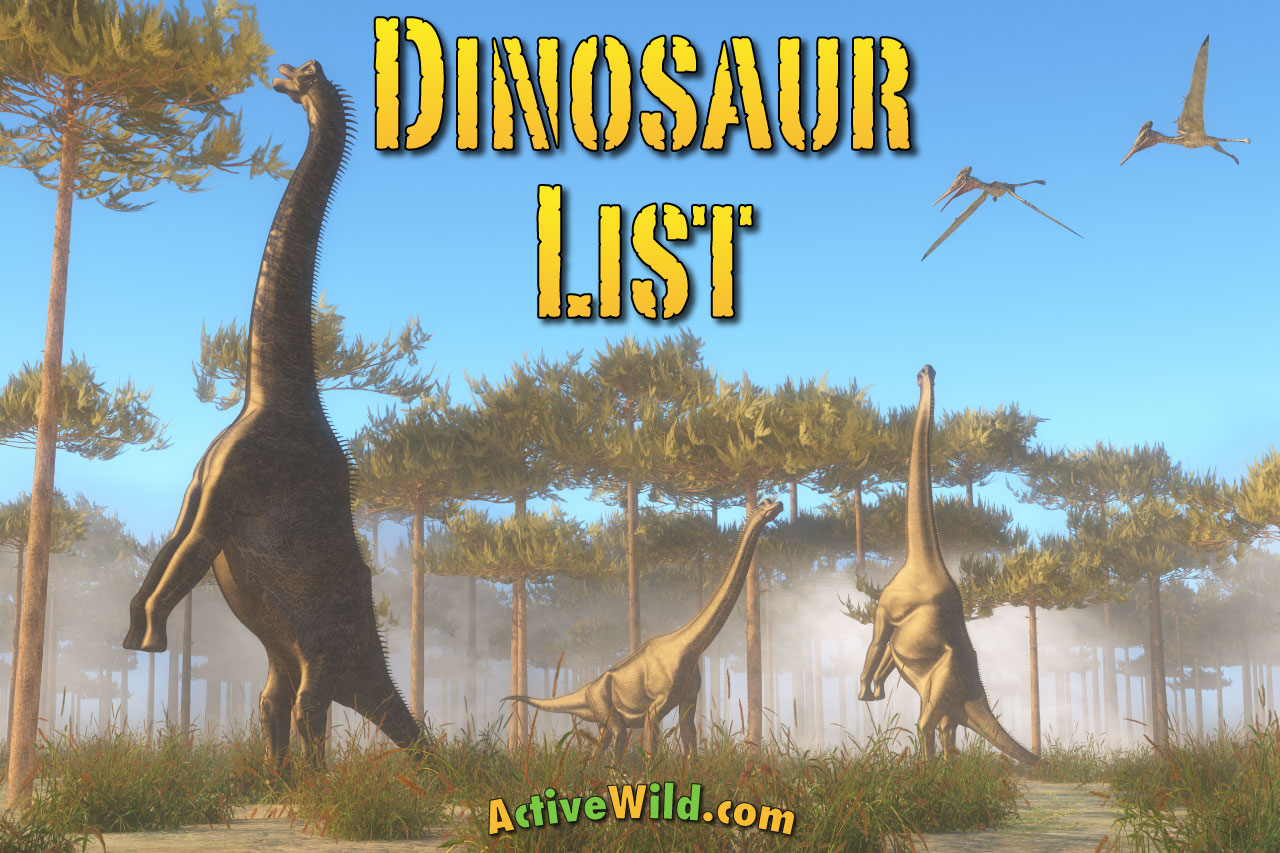 all dinosaurs in alphabetical order for Sale OFF54%