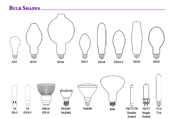 Bulb Shapes