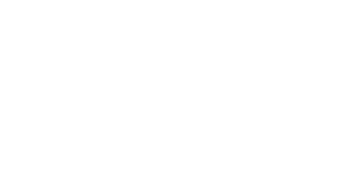 Havas logo_Adnami customer