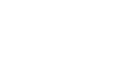 Renault logo_Adnami customer