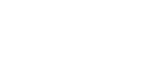 Omnicom Media Group logo_Adnami customer