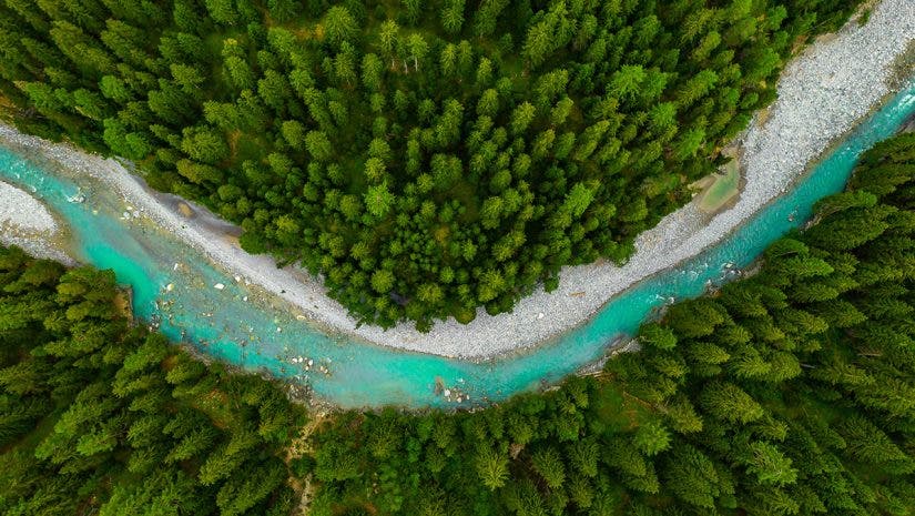 Beautiful Image of river passing through a forest, shot with a Pro drone