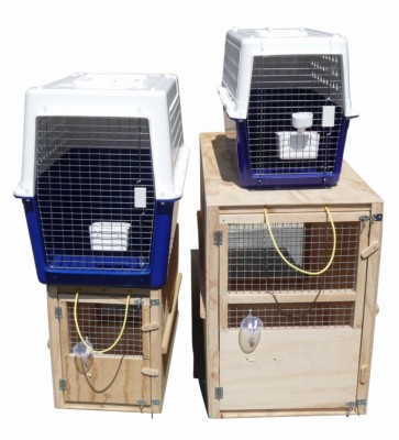 pet transport cages for rent