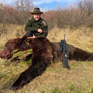 Media 'Brown Bear Hunt Romania' in category 'Hunting Worldwide'