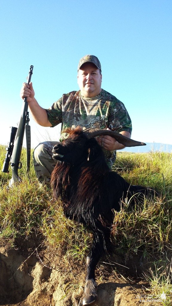 Hunting Goat Big Island Hawaii