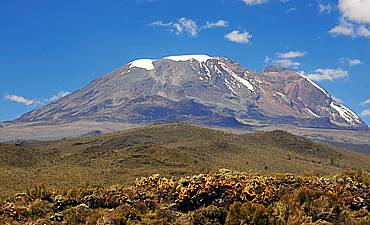 ARUSHA PARK & KILIMANJARO SAFARI PRICES