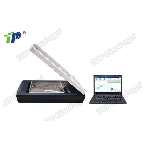 Plant Roots Morphology Phenotype Analysis System