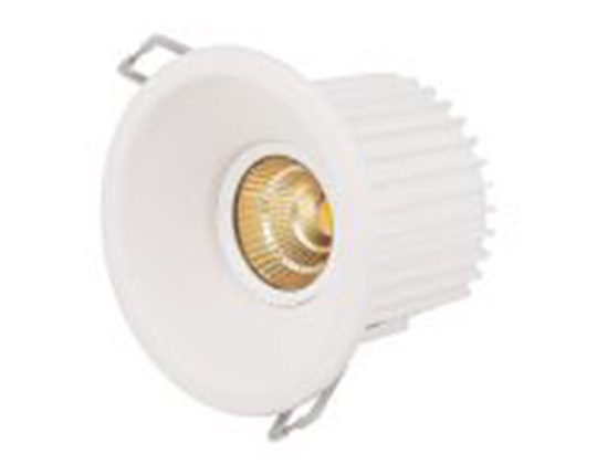 downlight smart