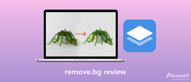  Review and Best Background Remover Alternative