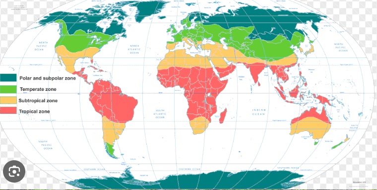 Cannabis growing methods in the tropics