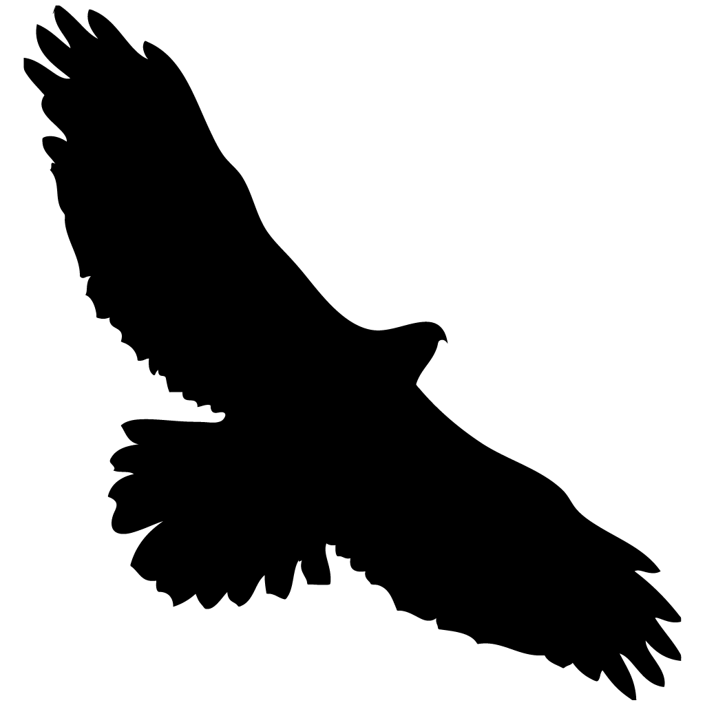 Hawks Silhouette