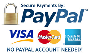 paypal logo 300