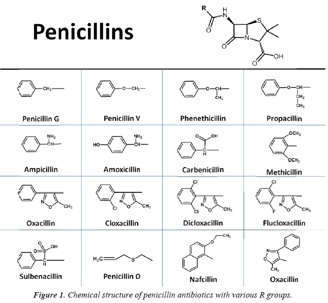 nutrition-human-health-Chemical-structure-penicillin-antibiotics