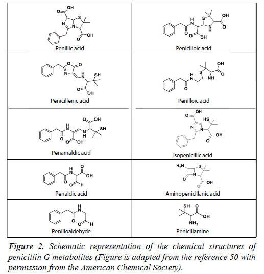 nutrition-human-health-chemical-structures-penicillin