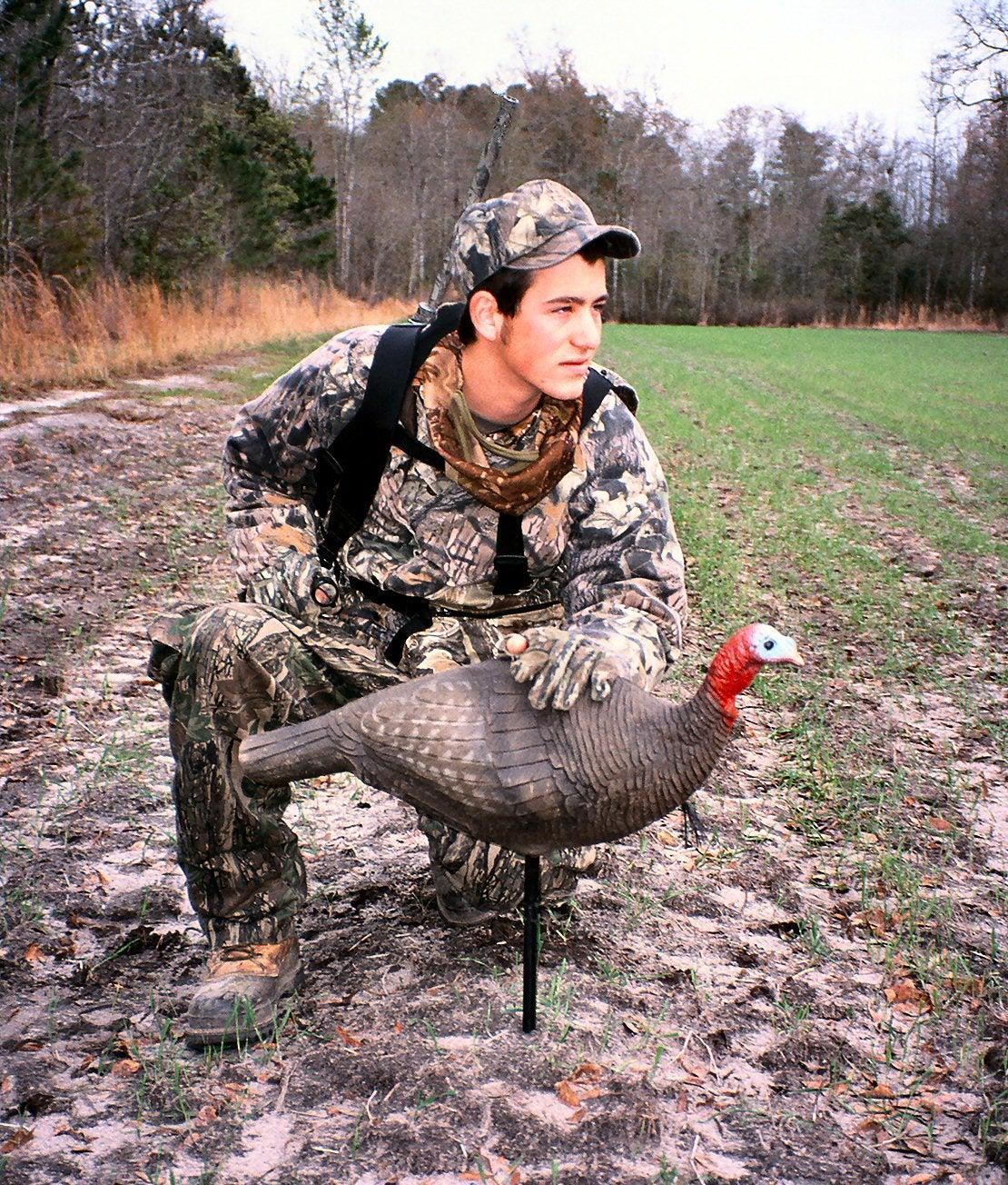 Turkey Decoy Tips for Success - AllOutdoor.com