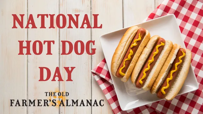 National Hot Dog Day