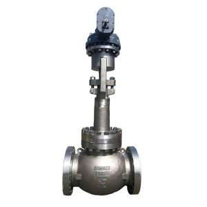 Bonney Forge Cast Steel Speciality Valve