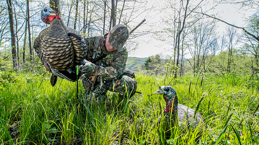 Turkey Hunting: Hide That Decoy ... A Little Bit | An Official Journal ...