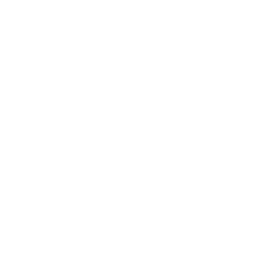 Alert Icon