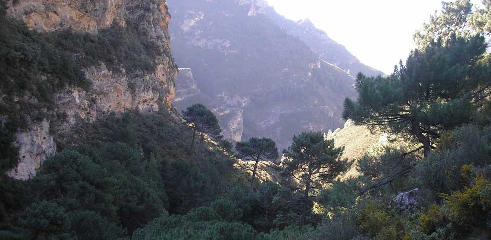 Guided Countryside Walks and Mountain Hikes Around Nerja & Frigiliana